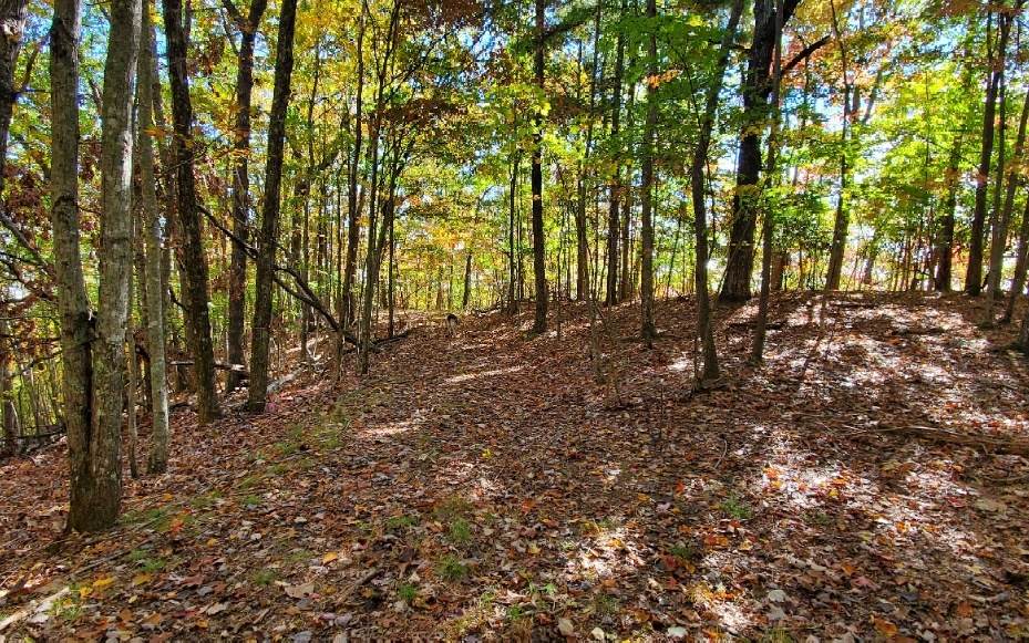 LT 8B Arrowhead Dr. - Photo 1
