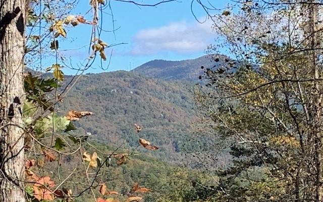 Summit Trail Lot 20 - Photo 1