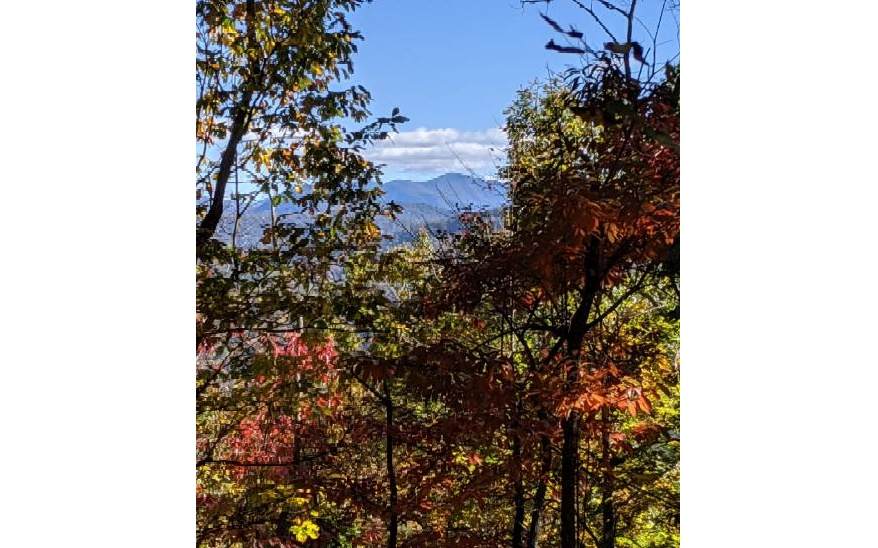 TBD Roach Cove Rd. - Photo 1