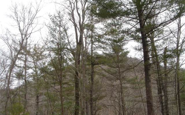 LT 18 Highland Falls - Photo 1