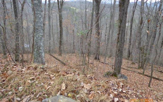 LOT 7 Morgan Creek - Photo 1