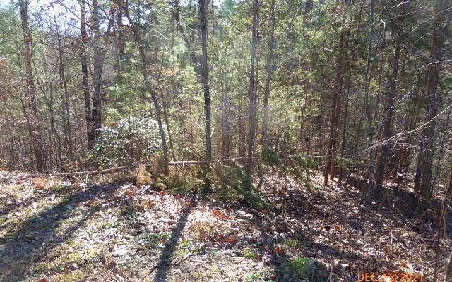 LT 4B Trillium Heights - Photo 1