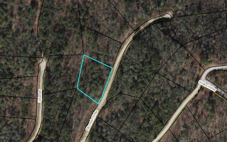 LT 13 Mountain Ridge Drive - Photo 1