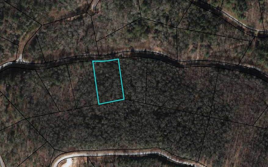 LT 4 Shake Hollow Rd - Photo 1