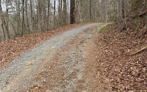 0 Conasauga Est - Photo 1
