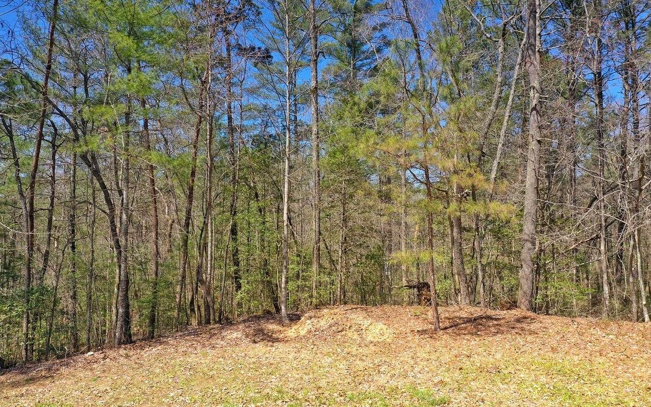00 Ridge Road - Photo 1