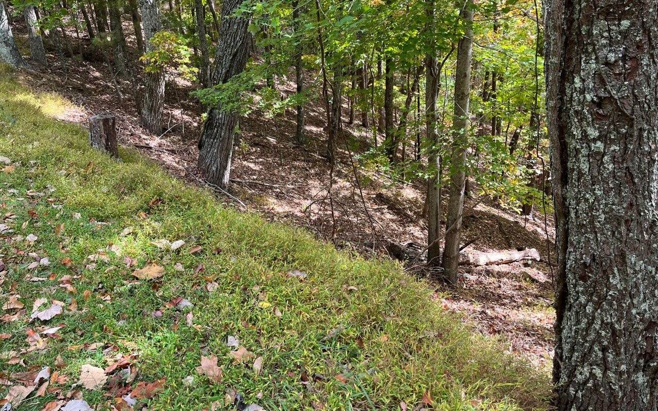 A28 Laurel Ridge Dr - Photo 1