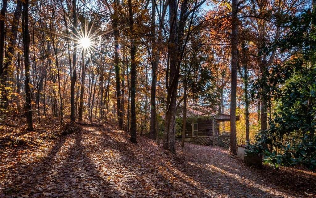2818 Burnt Mountain Rd - Photo 1