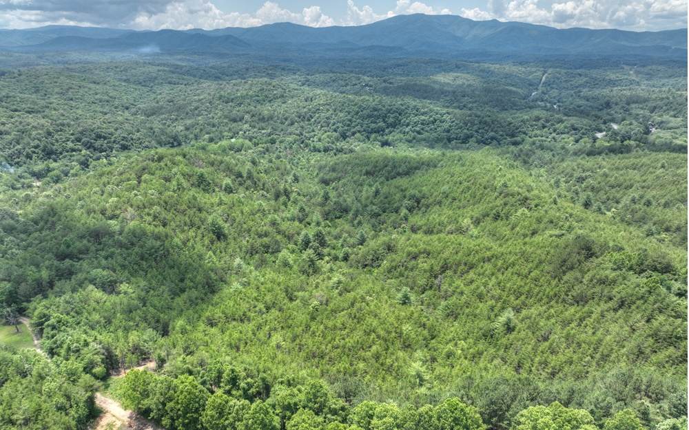 200 River Overlook Dr - Photo 1