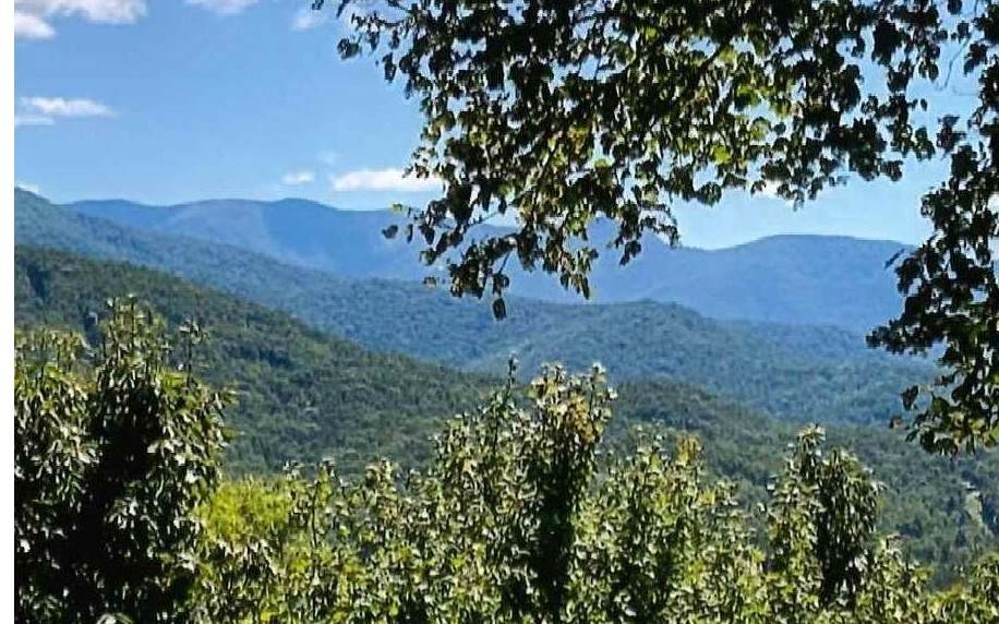 #50 Harris Ridge Road - Photo 1