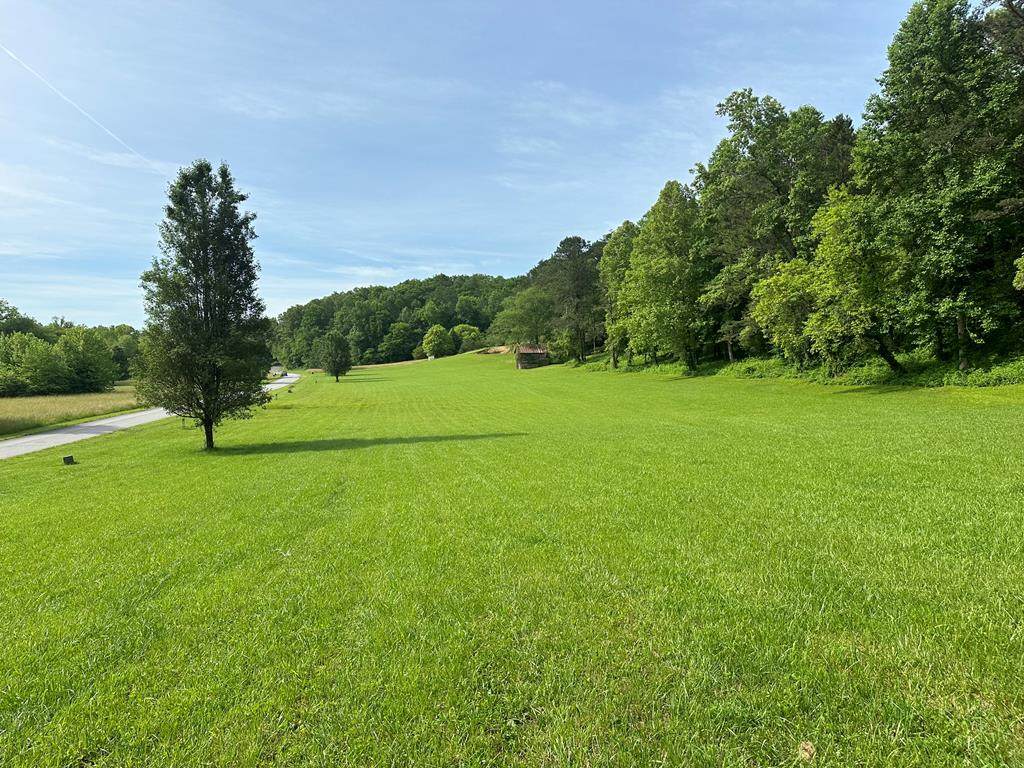 Lot 44 Brasstown Trails - Photo 1