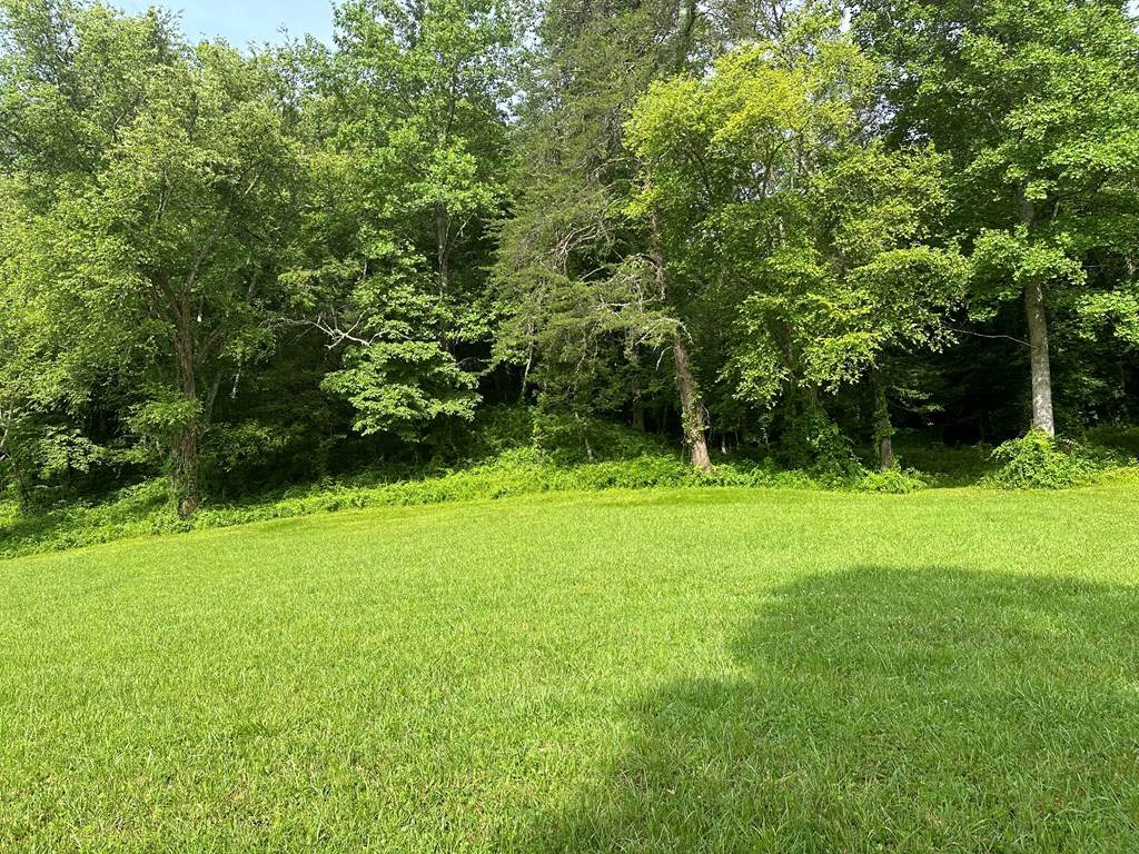 https://bt-photos.global.ssl.fastly.net/negeorgia/orig_boomver_1_405178-2.jpg