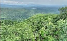 Lot 34 Lt 34 Utana Bluffs - Photo 1