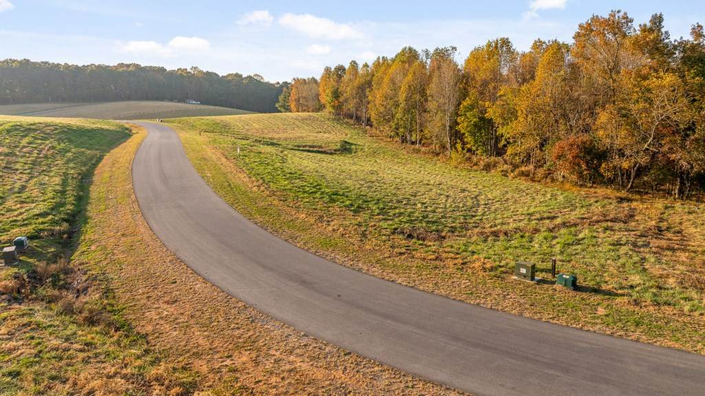 https://bt-photos.global.ssl.fastly.net/negeorgia/orig_boomver_2_411284-2.jpg