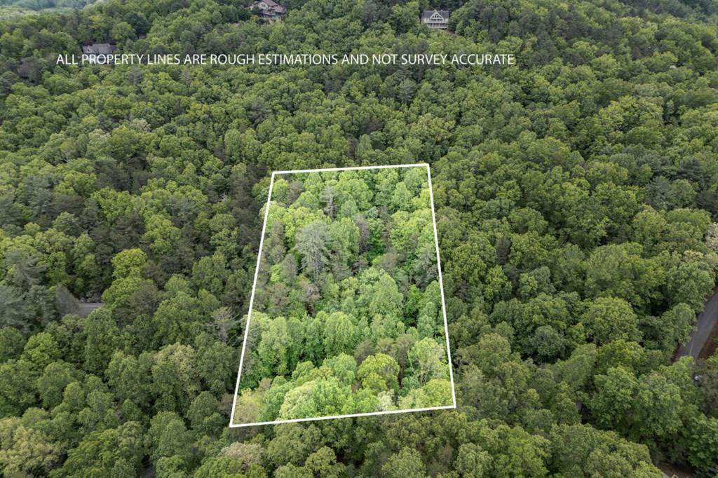 Lot 17 Lower Gap Road - Photo 1
