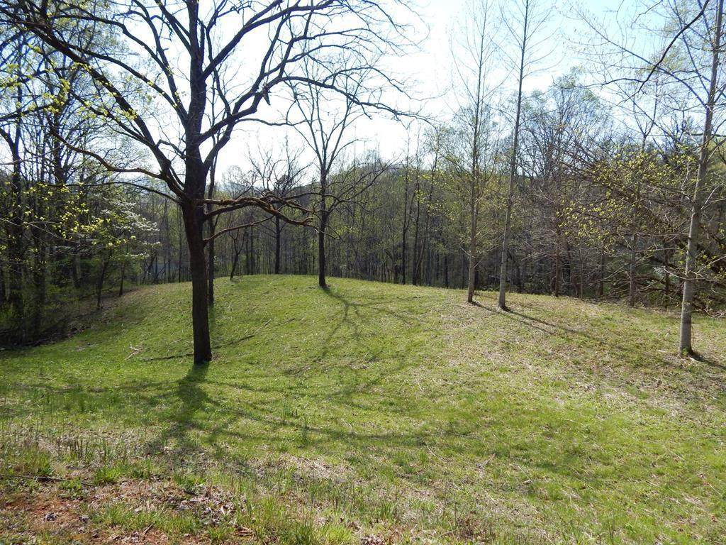 Lot 6 High Meadows - Photo 1