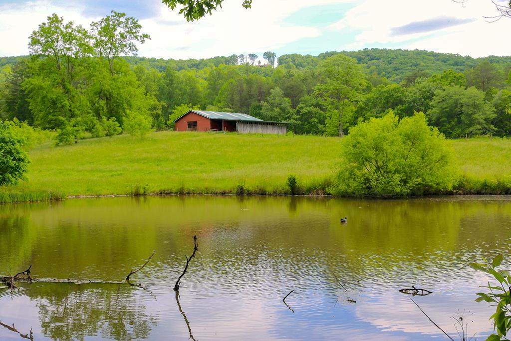 440 Hamby Road - Photo 1