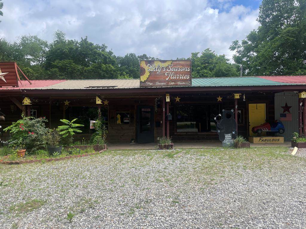 64 Pappys Plaza - Photo 1