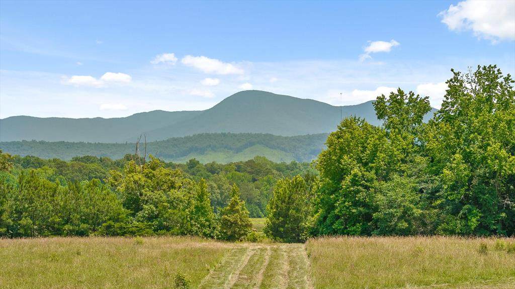 1800 Hwy 286 - Photo 1