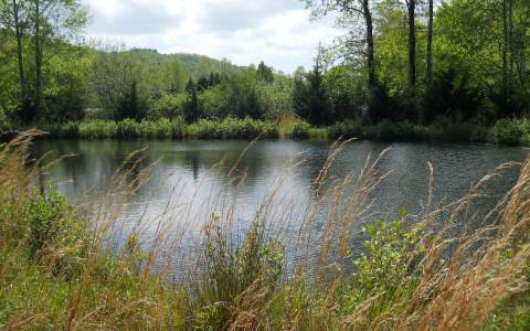 25 Tusquittee Crossing - Photo 1