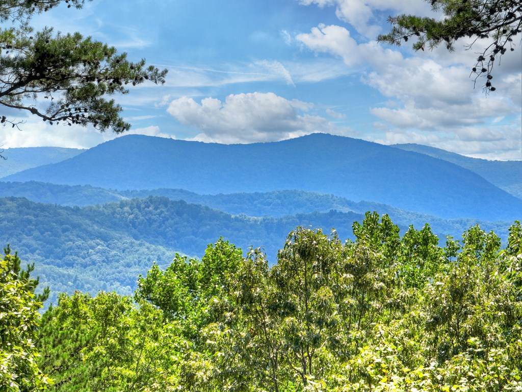 https://bt-photos.global.ssl.fastly.net/negeorgia/orig_boomver_1_417944-2.jpg