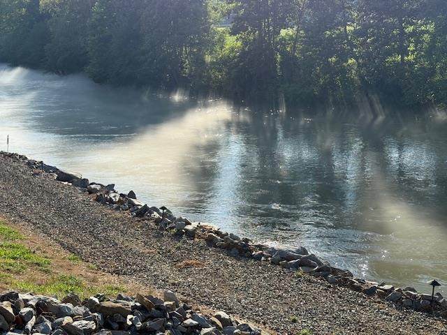 34 Honey Hole Trail - Photo 1