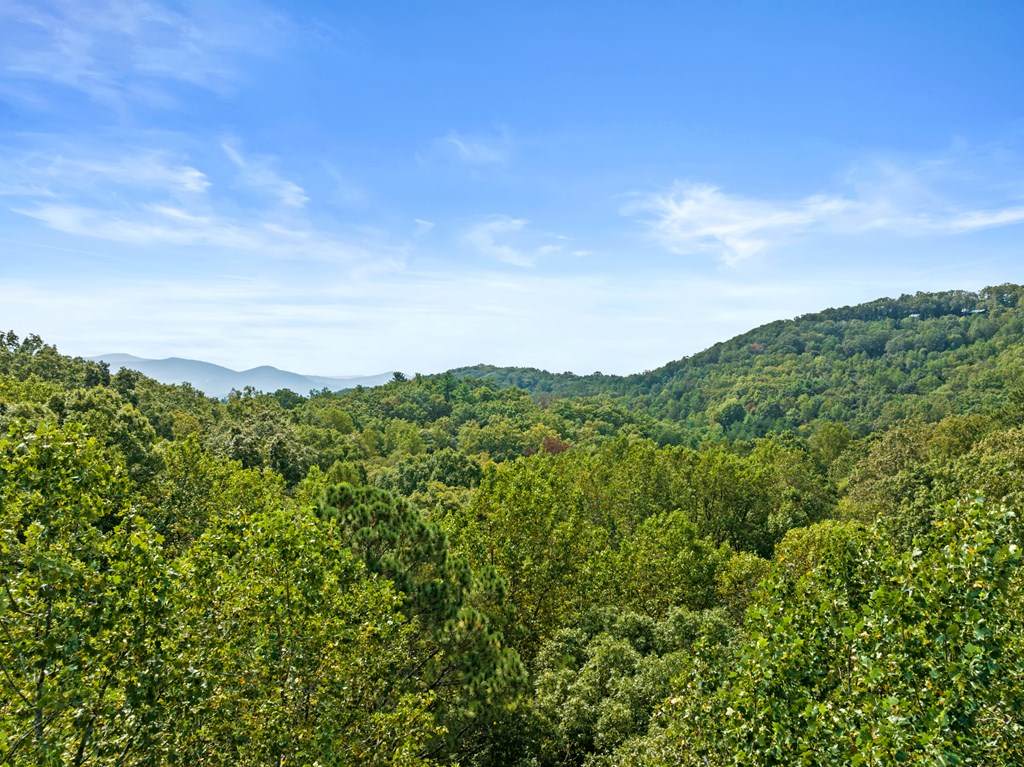 https://bt-photos.global.ssl.fastly.net/negeorgia/orig_boomver_1_419165-2.jpg