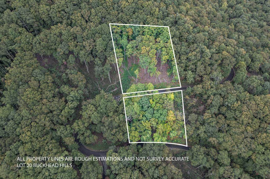 Lot 20 Buckhead Hills - Photo 1