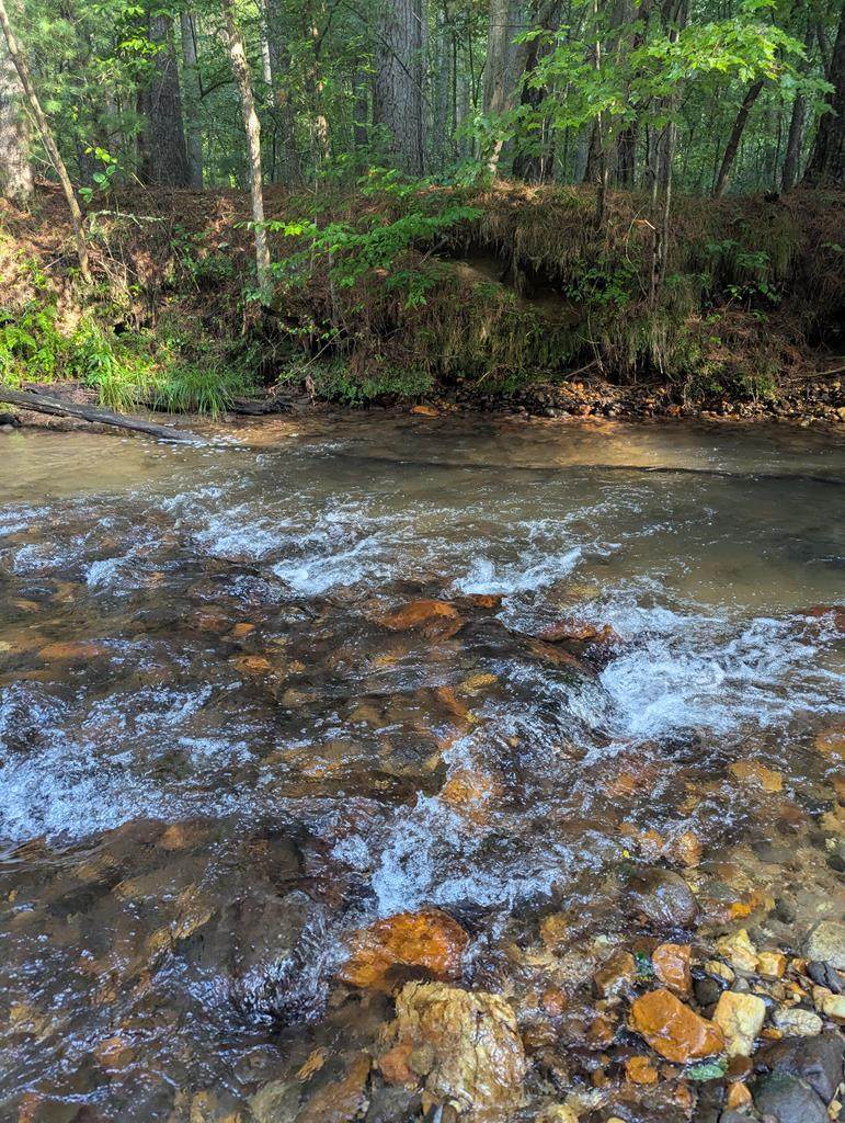 86 Tipton Court - Photo 1