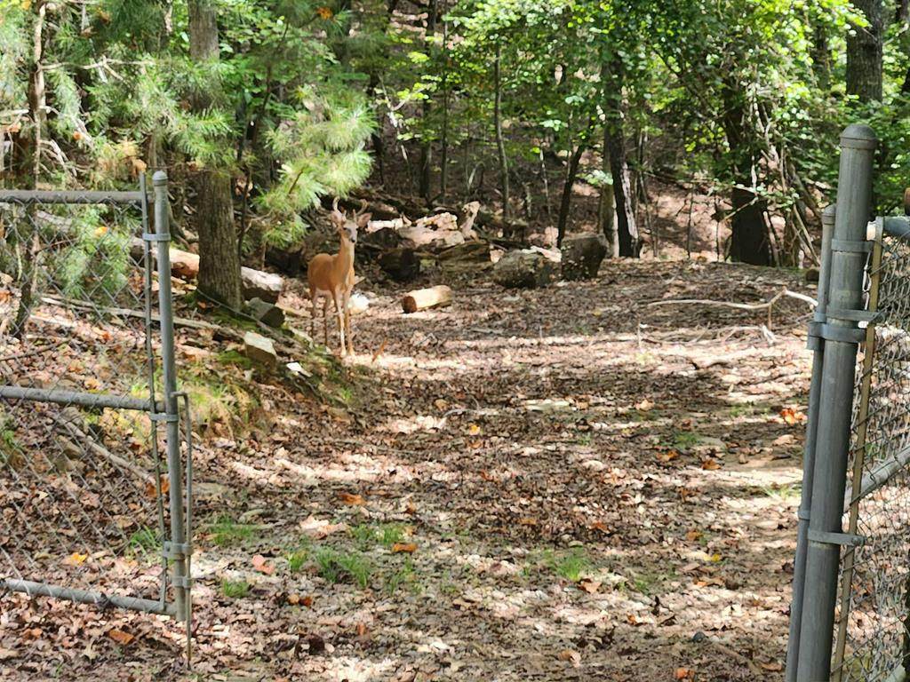 19B/2545 Frigate Drive - Photo 1