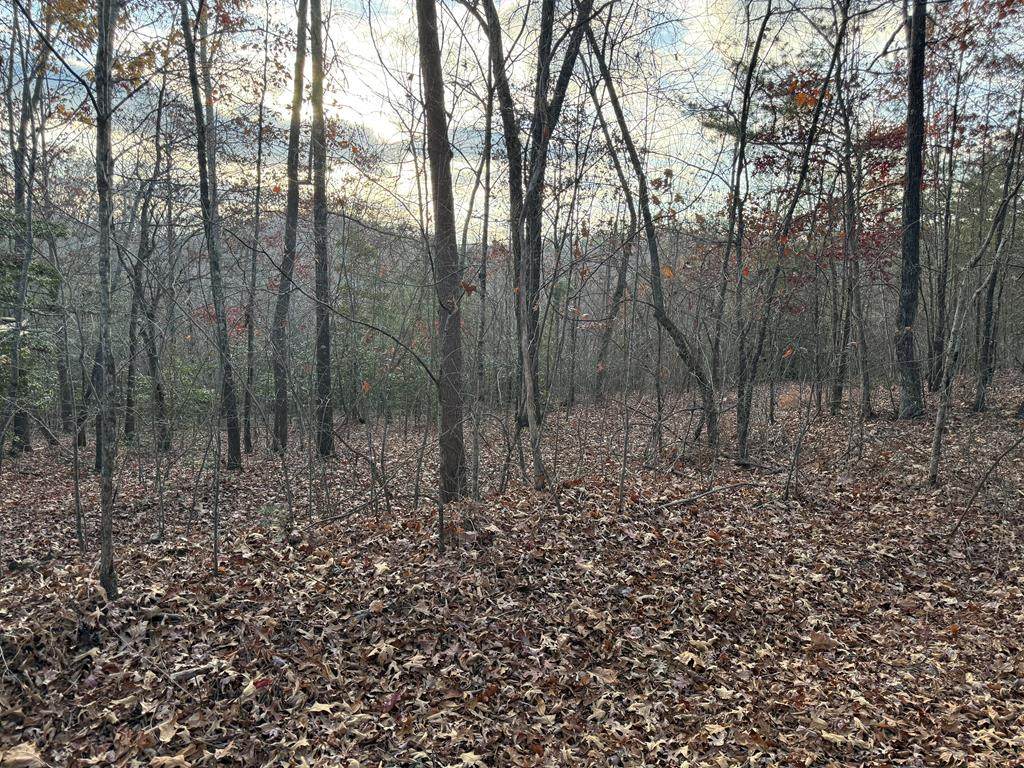 28/32 Stuart Ridge Road - Photo 1