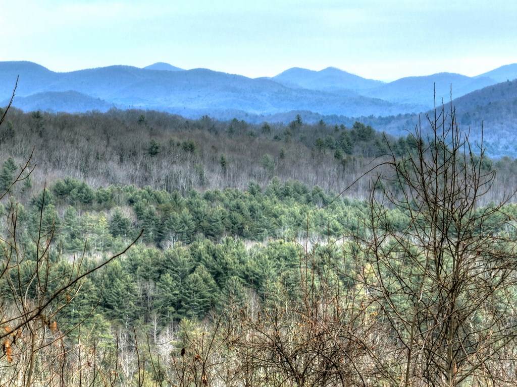 https://bt-photos.global.ssl.fastly.net/negeorgia/orig_boomver_2_420785-2.jpg