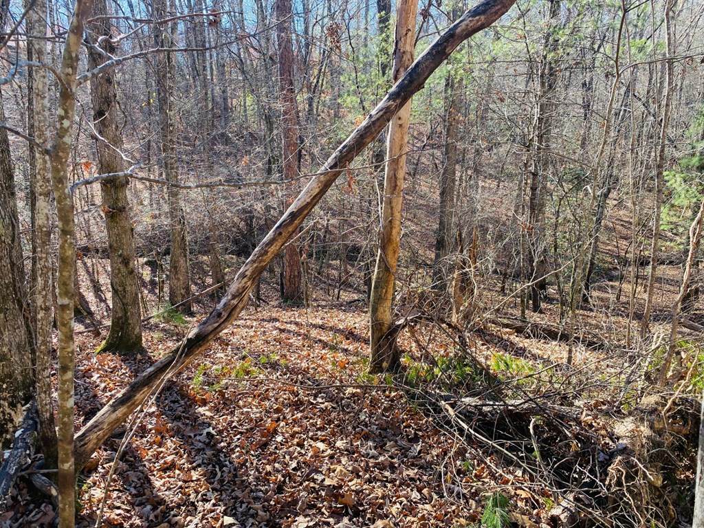 https://bt-photos.global.ssl.fastly.net/negeorgia/orig_boomver_1_420891-2.jpg