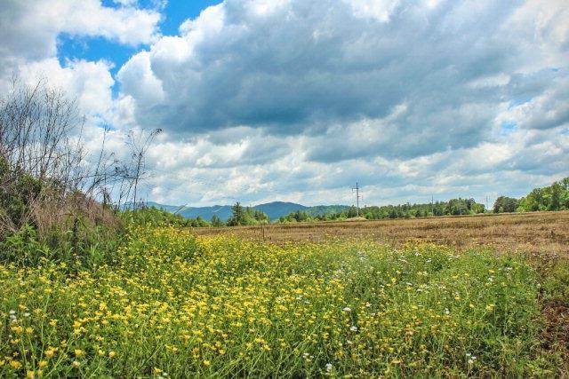 00 Hwy 64 E - Photo 1