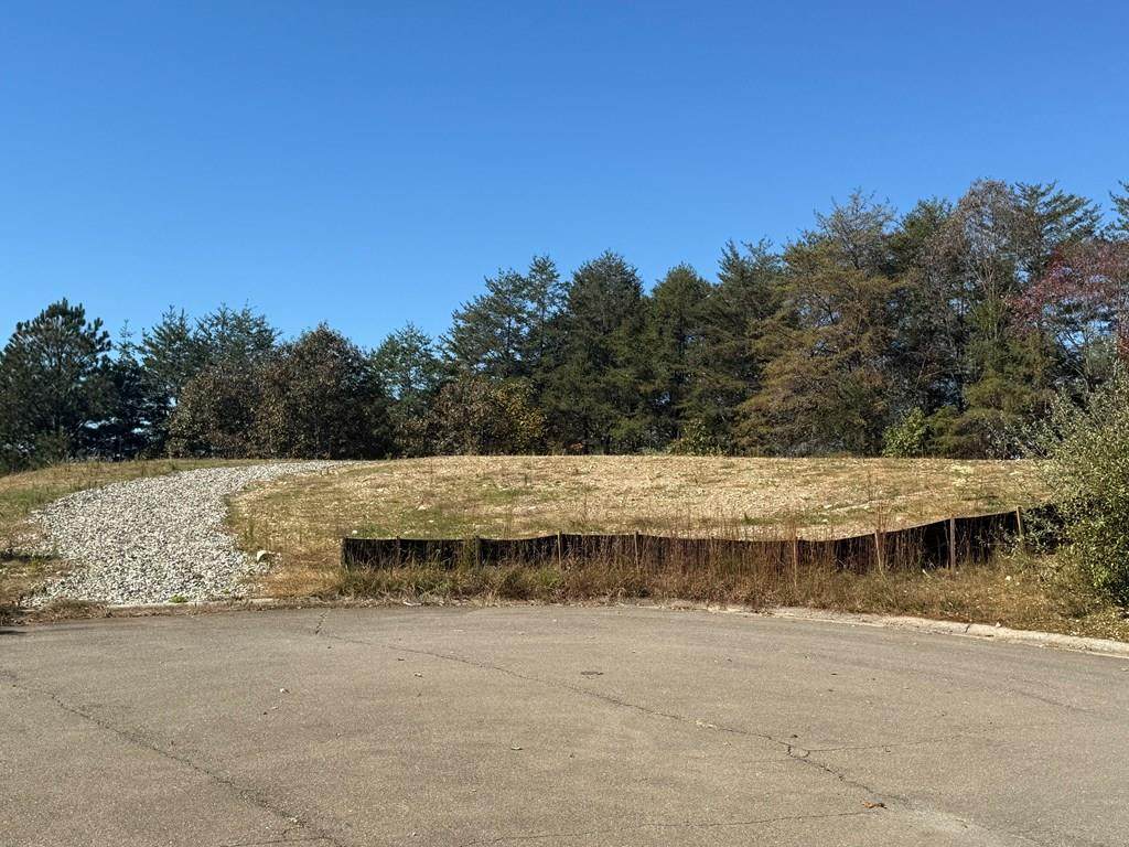 Lot 11 Lindsey Lane - Photo 1