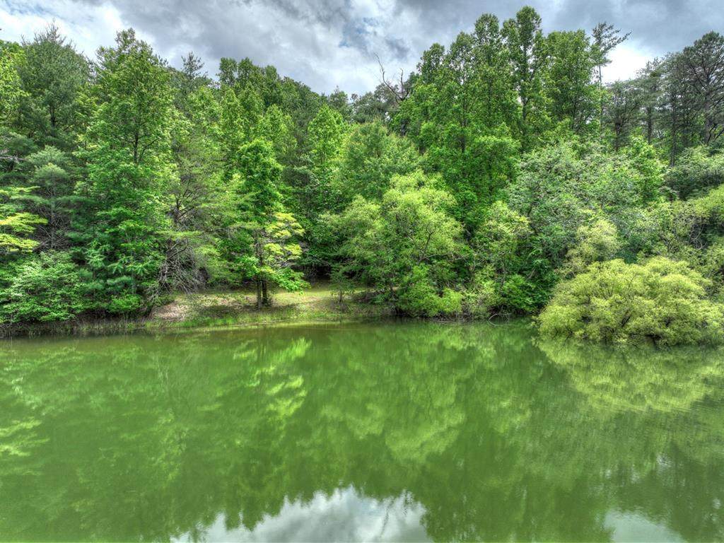 https://bt-photos.global.ssl.fastly.net/negeorgia/orig_boomver_1_425082-2.jpg