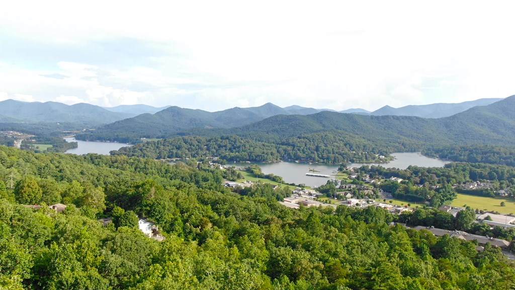 https://bt-photos.global.ssl.fastly.net/negeorgia/orig_boomver_1_425375-2.jpg