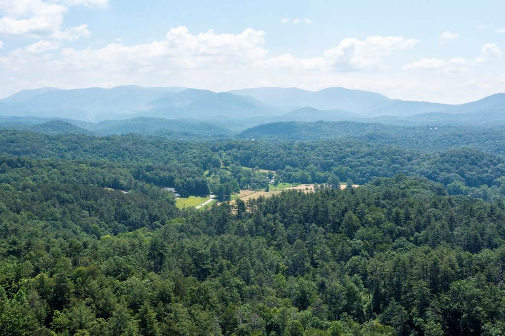 https://bt-photos.global.ssl.fastly.net/negeorgia/orig_boomver_1_428527-2.jpg