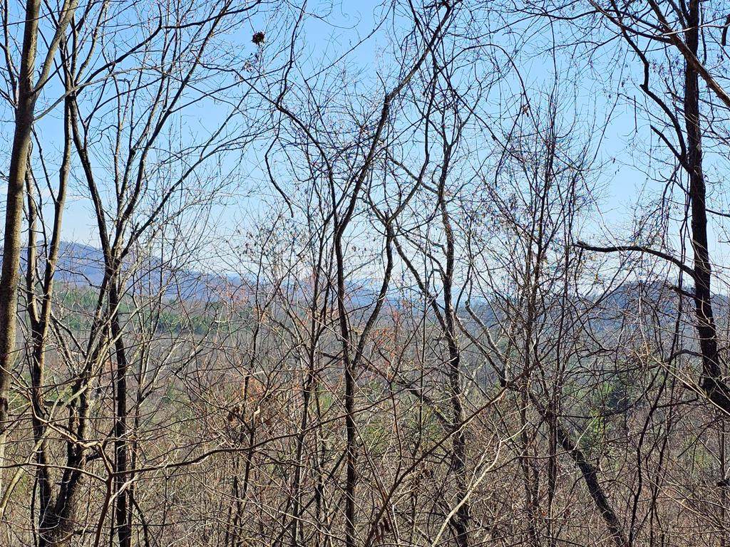 Lot 39 Merlin Trail/Warbler Road - Photo 1