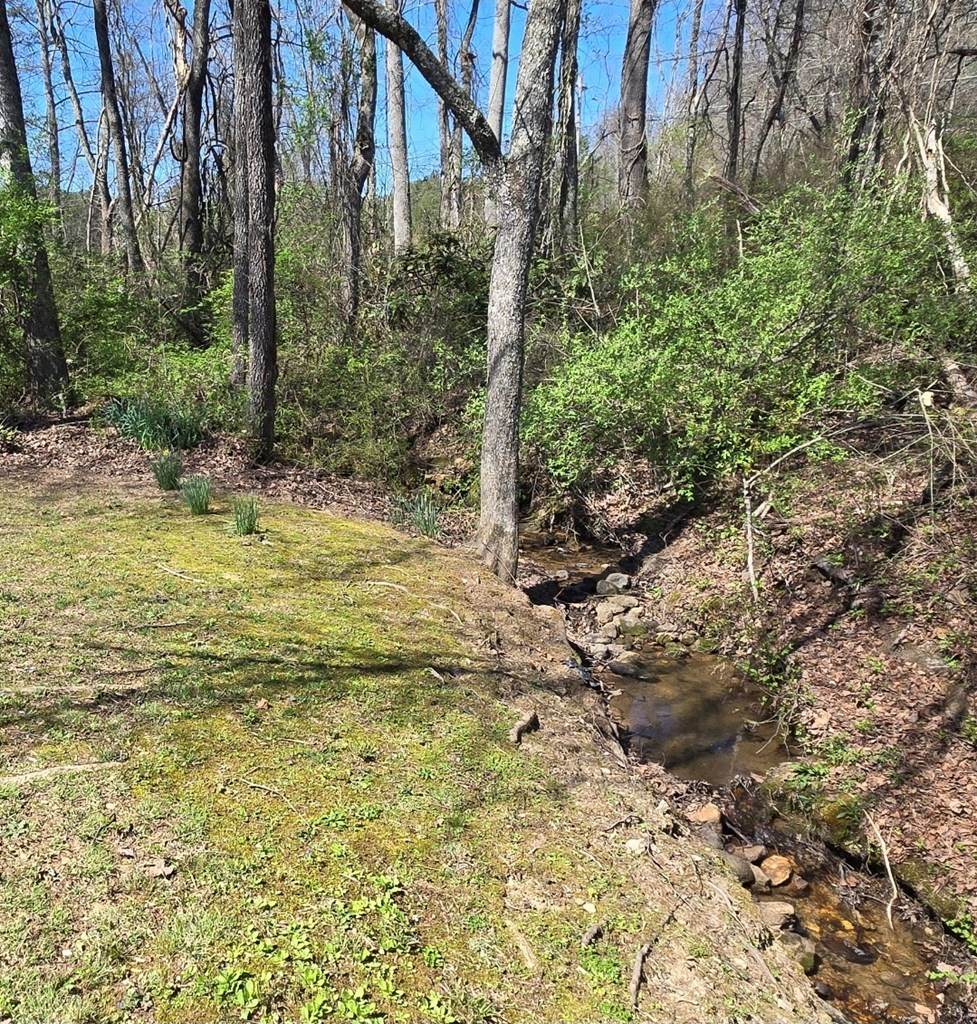 https://bt-photos.global.ssl.fastly.net/negeorgia/orig_boomver_1_429066-2.jpg