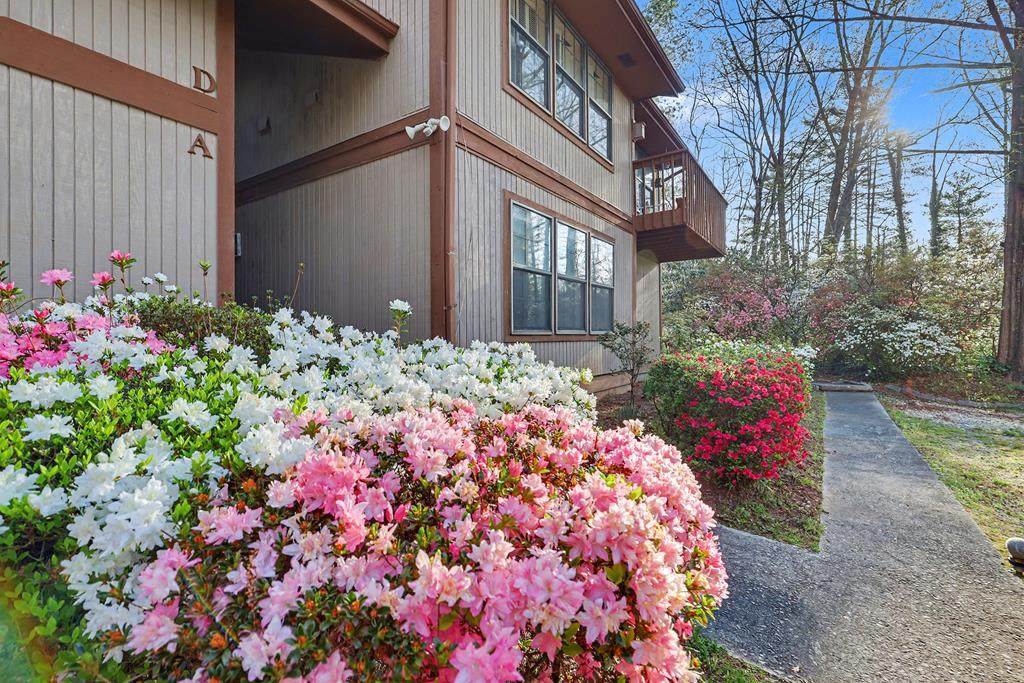 62 Stornoway Dr, Unit 2 - Photo 1