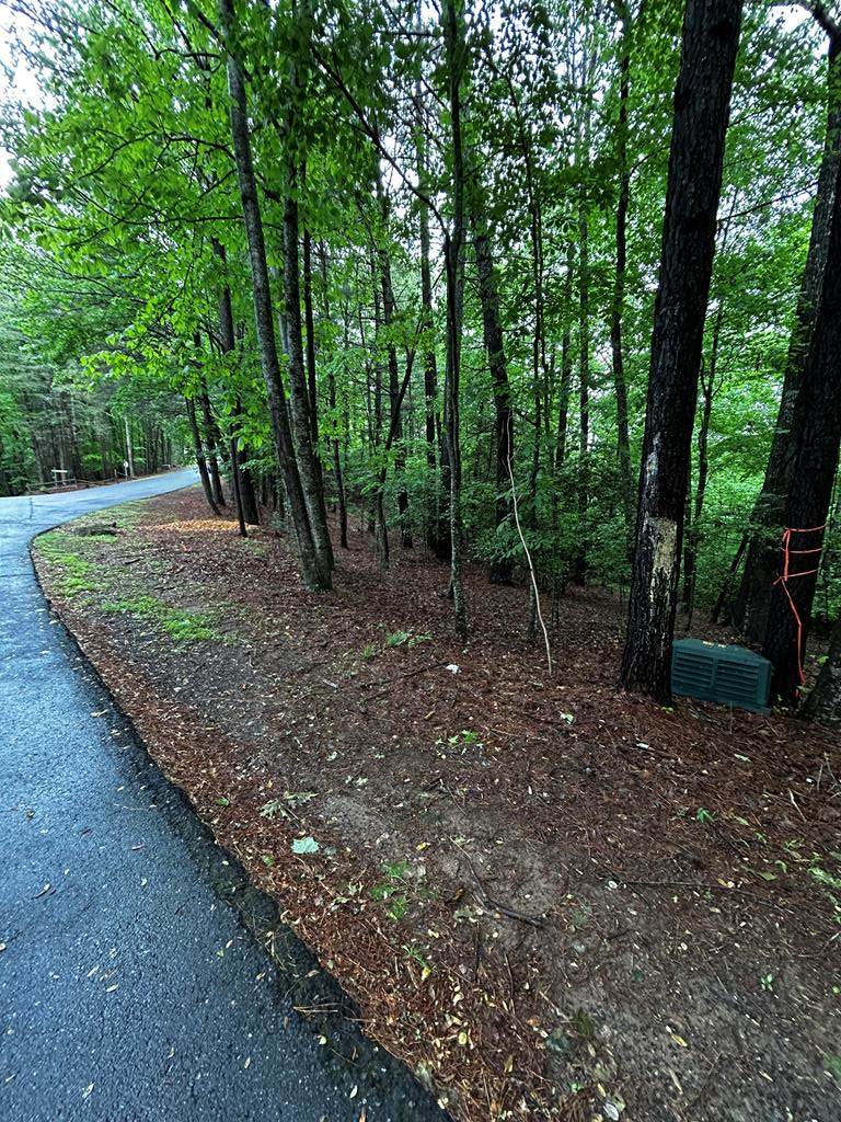 00 Lazy River Lane - Photo 1