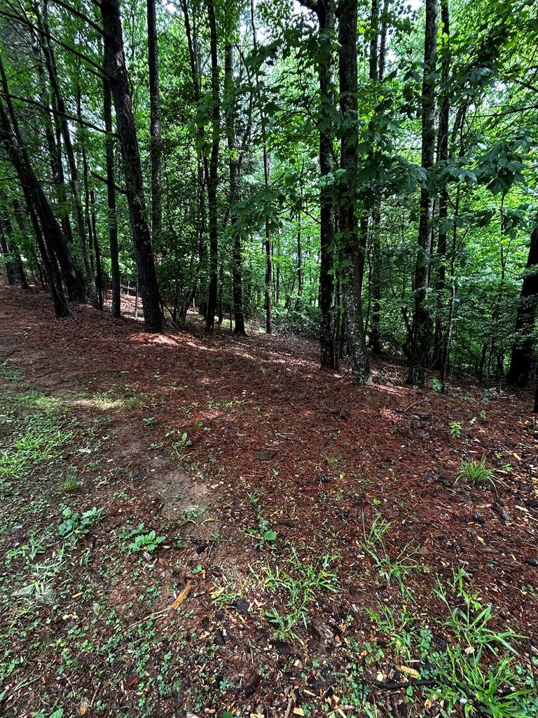 https://bt-photos.global.ssl.fastly.net/negeorgia/orig_boomver_1_430536-2.jpg