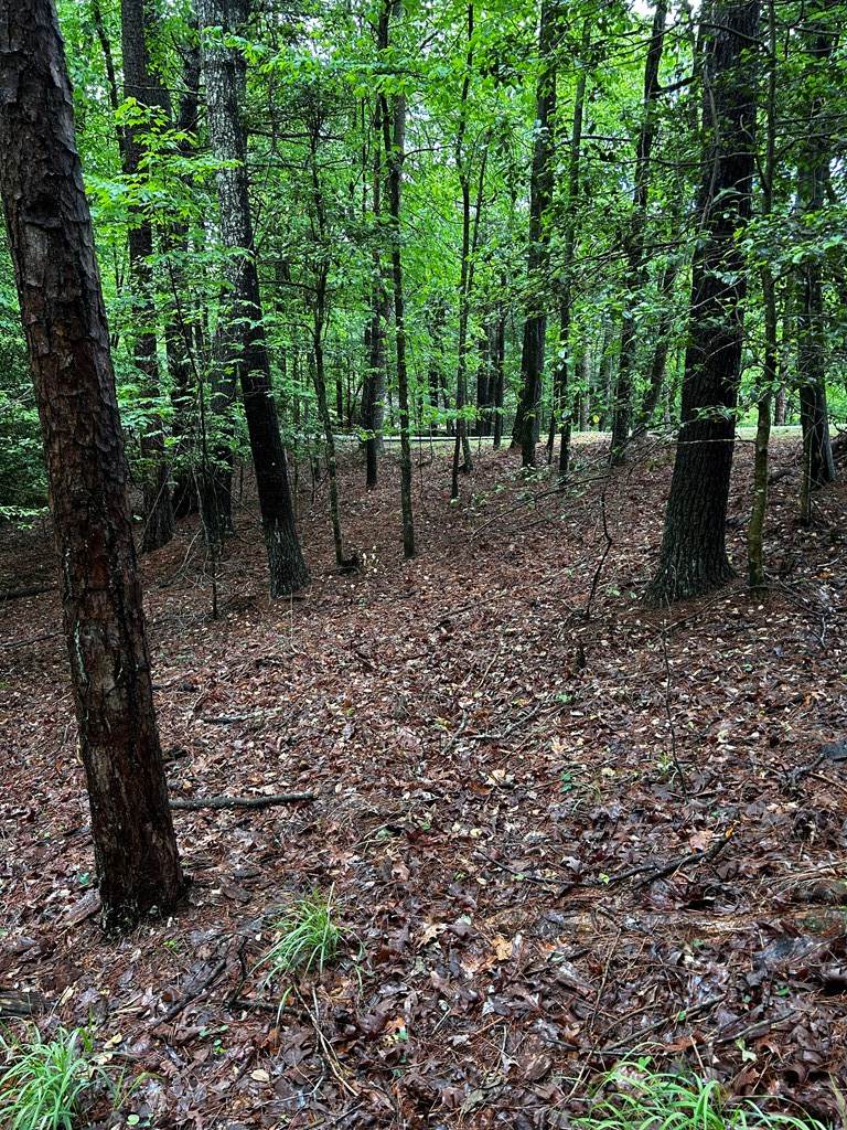 https://bt-photos.global.ssl.fastly.net/negeorgia/orig_boomver_1_430536-2.jpg