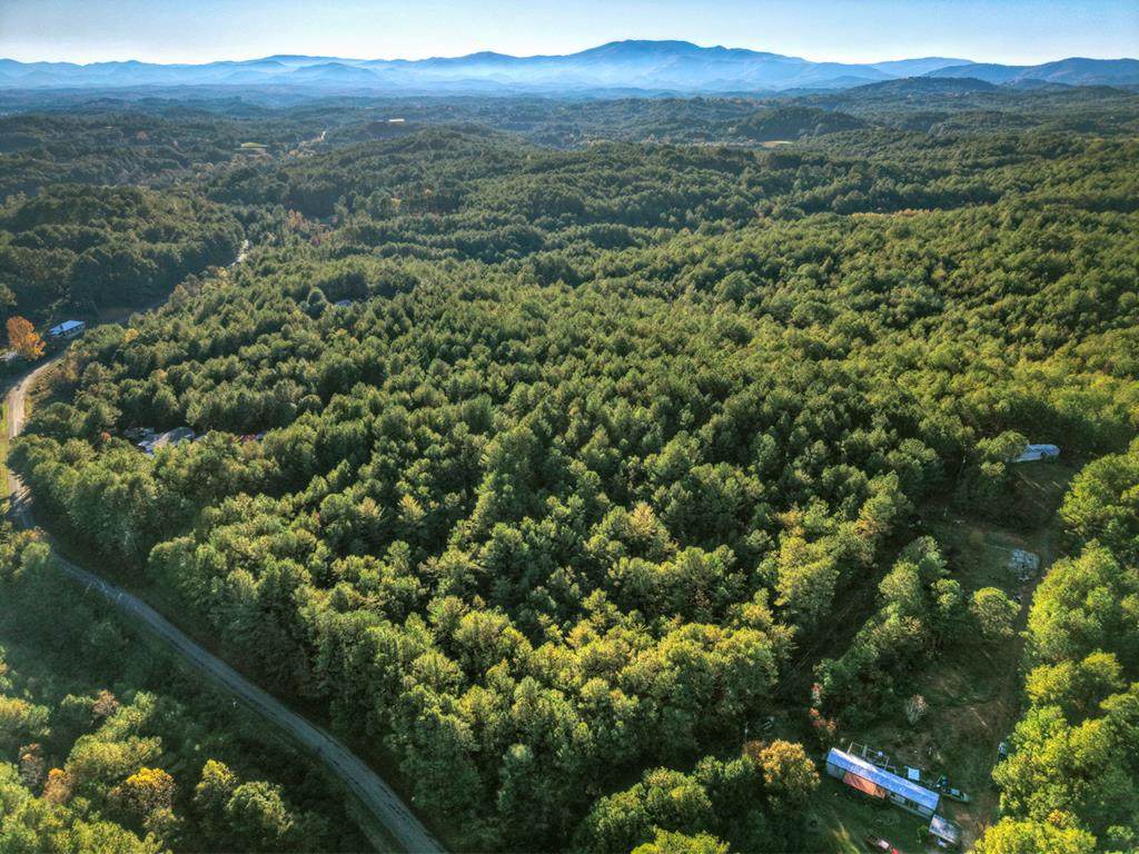 0 Stansbury Mountain Road - Photo 1