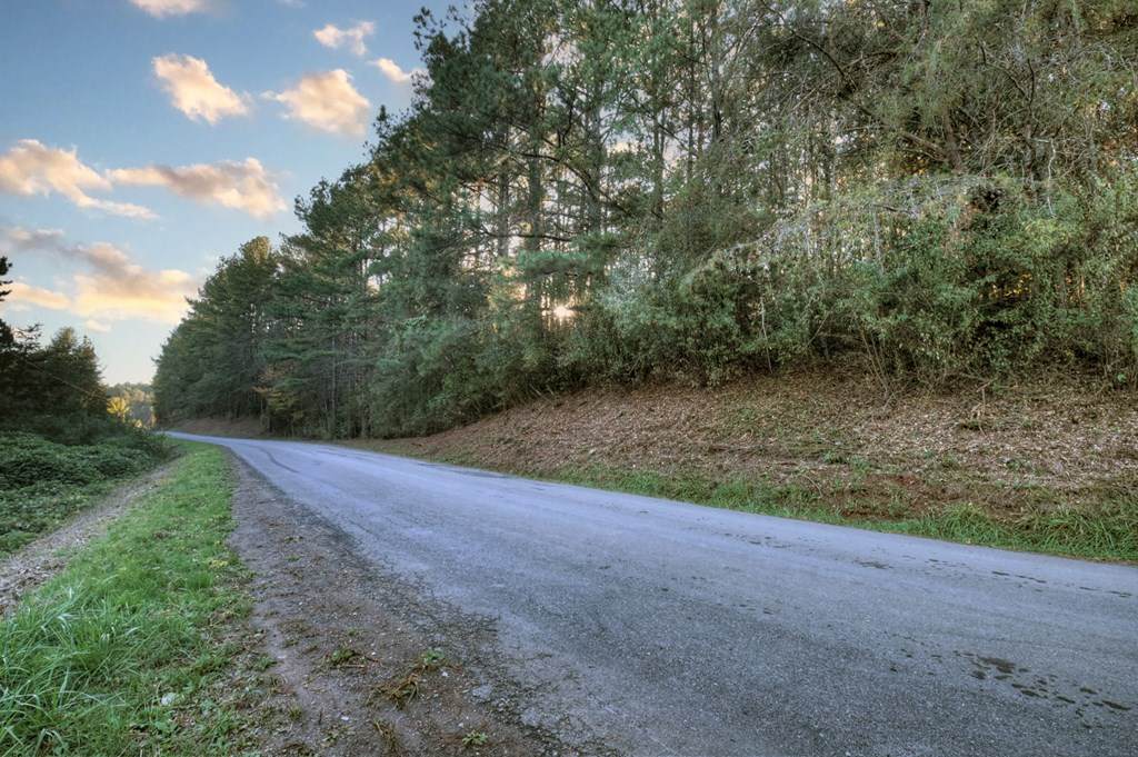 https://bt-photos.global.ssl.fastly.net/negeorgia/orig_boomver_1_430556-2.jpg