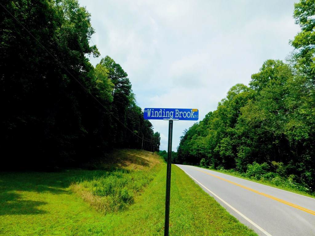 https://bt-photos.global.ssl.fastly.net/negeorgia/orig_boomver_1_431283-2.jpg