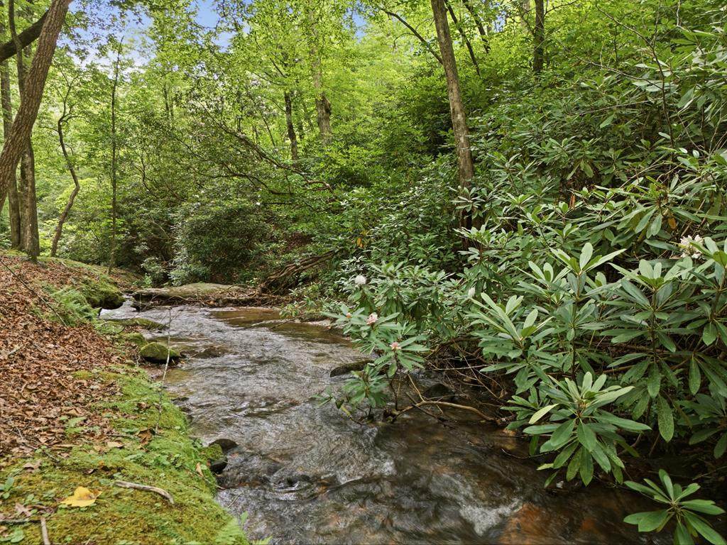 86 Pounding Mill Creek - Photo 1