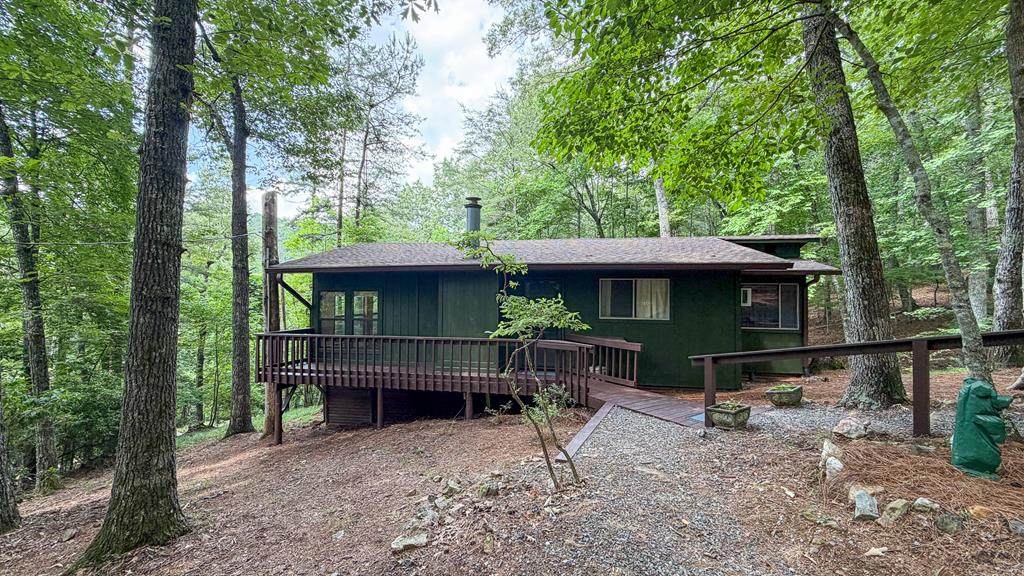 1253 Tipton Springs Road - Photo 1
