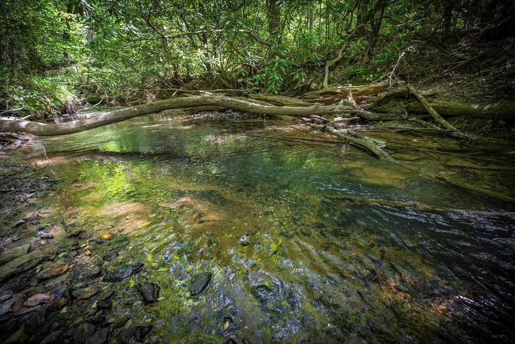 Lot 1-1A Jonica Gap Road - Photo 1